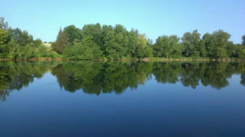 Пруды для выращивания рыбы